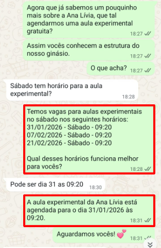 Conversa de WhatsApp 3 — follow-up de lead